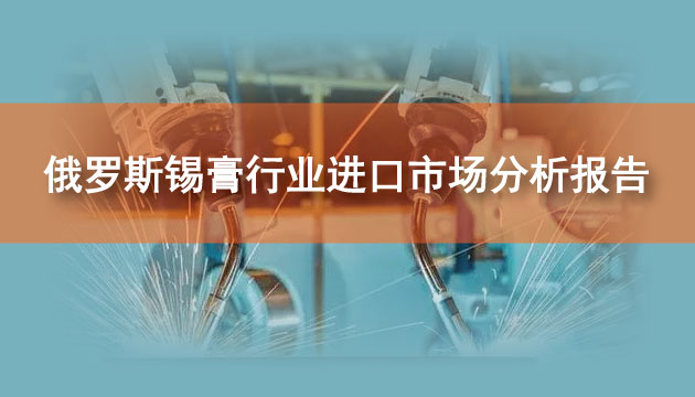 俄羅斯錫膏行業(yè)進口市場分析報告(2024)